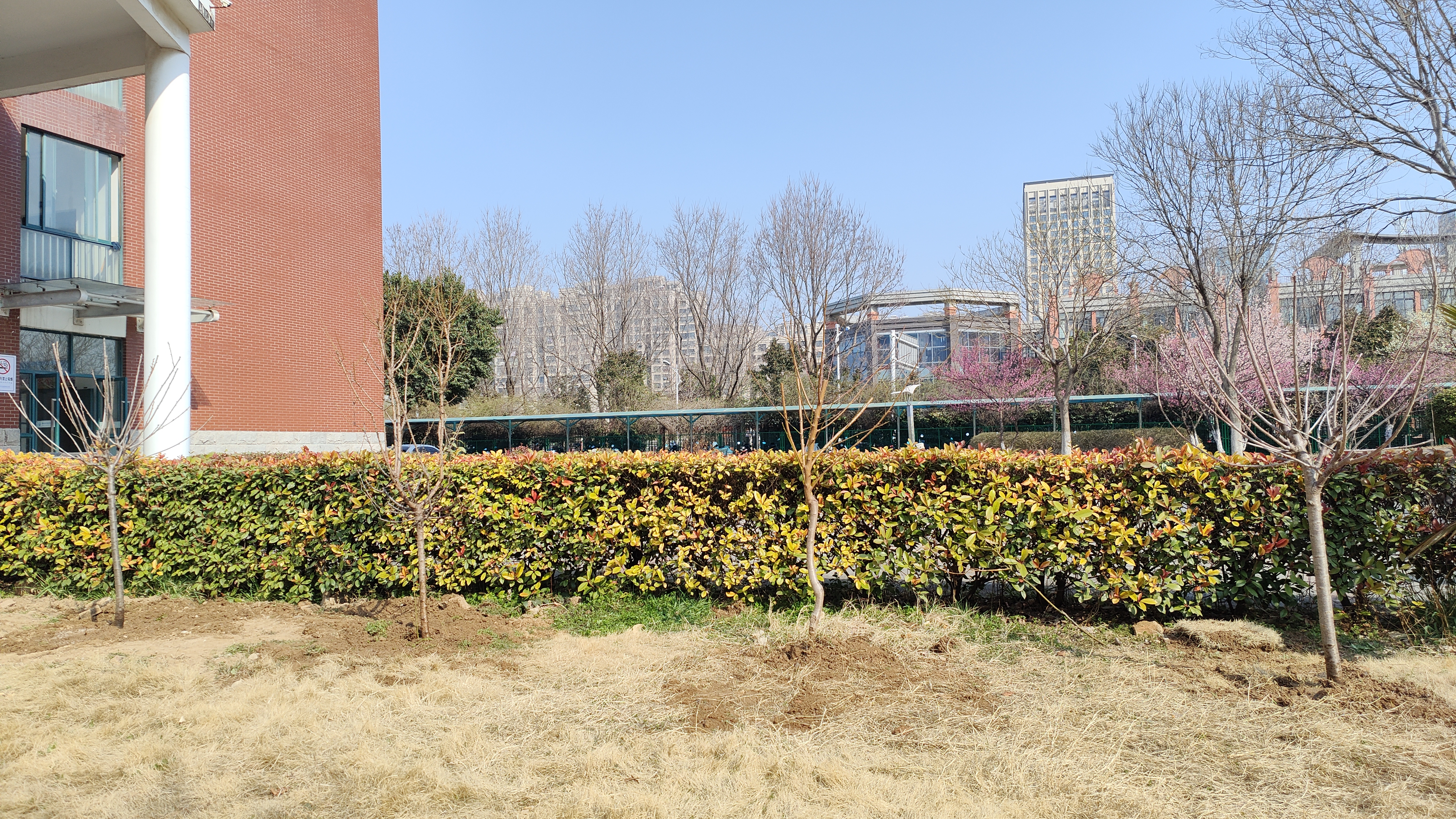 IMG20240312094155.jpg